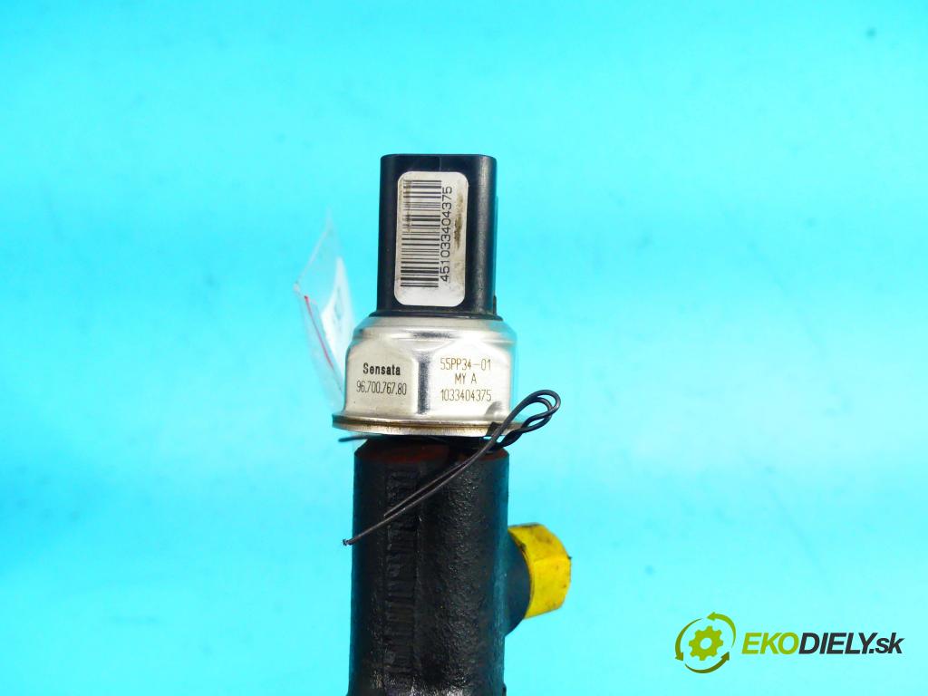 Citroen C3 II 2009-2016 1.4 hdi 68 HP manual 50 kW 1398 cm3 5- lišta vstrekovacia 9685297580 (Vstrekovacie lišty)