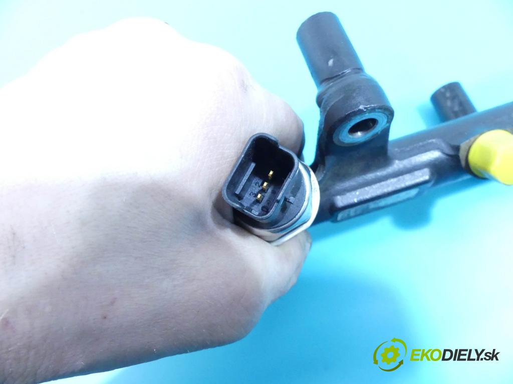 Peugeot 3008 I 2009-2016 2.0 hdi 150 HP manual 110 kW 1997 cm3 5- lišta vstrekovacia 6981909680-03 (Vstrekovacie lišty)