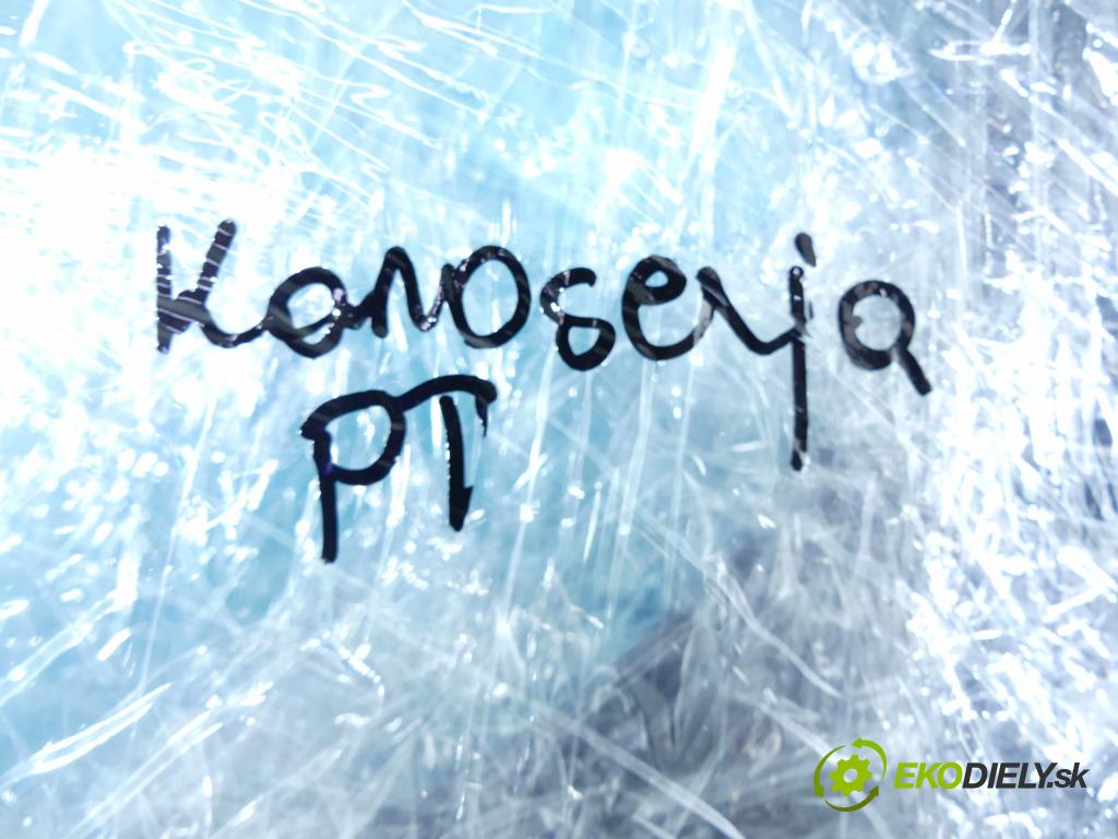 Audi A6 C7 2011-2018 2.0 TFSI 179KM manual 132 kW 1984 cm3 4- Těsnění: dveře zadní pravé  (Ostatní)