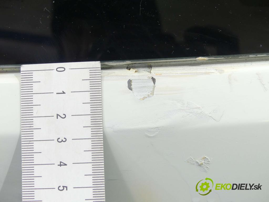 Fiat Punto Grande 1,3.0 jtd 75 hp manual 55 kW 1248 cm3 3- zadní kufrové dveře  (Zadní kapoty)