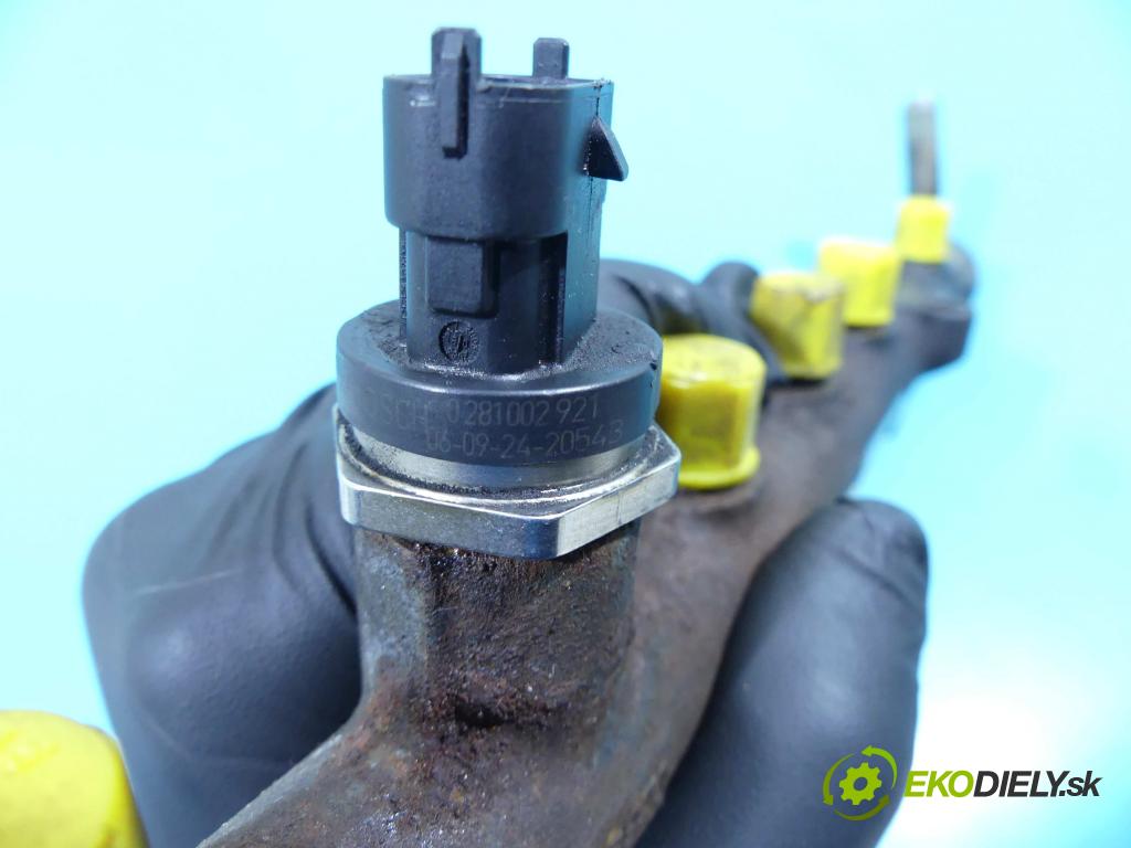 Renault Megane II 2003-2008 1.9 dci 131 HP manual 96 kW 1870 cm3 5- lišta vstrekovacia 0445214116 (Vstrekovacie lišty)