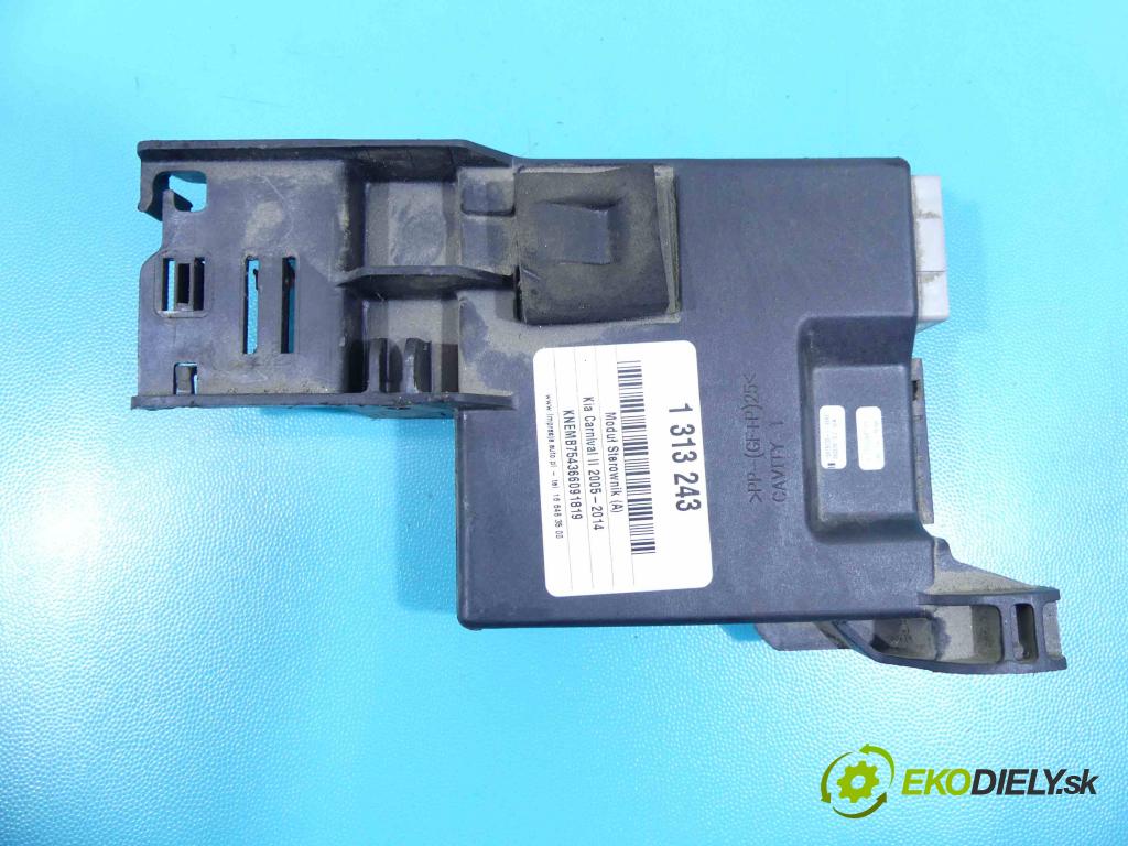 Kia Carnival II 2005-2014 2.9 crdi 185 HP automatic 136 kW 2902 cm3 5- modul riadiaca jednotka 16915130 (Ostatné)
