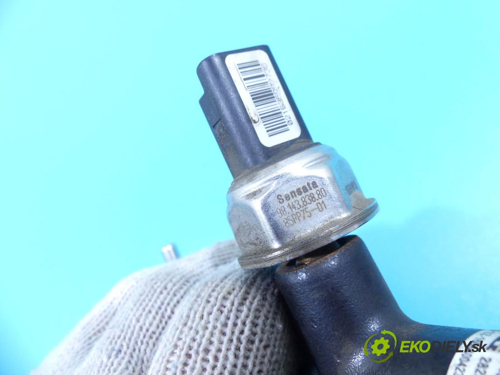 Ford Kuga II 2013-2019 2.0 tdci 150 HP manual 110 kW 1997 cm3 5- lišta vstrekovacia 9674300080-04 (Vstrekovacie lišty)