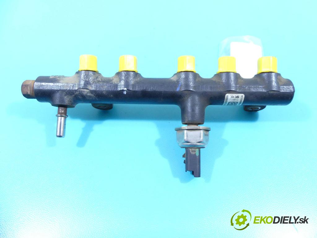 Ford Kuga II 2013-2019 2.0 tdci 150 HP manual 110 kW 1997 cm3 5- lišta vstrekovacia 9674300080-04 (Vstrekovacie lišty)