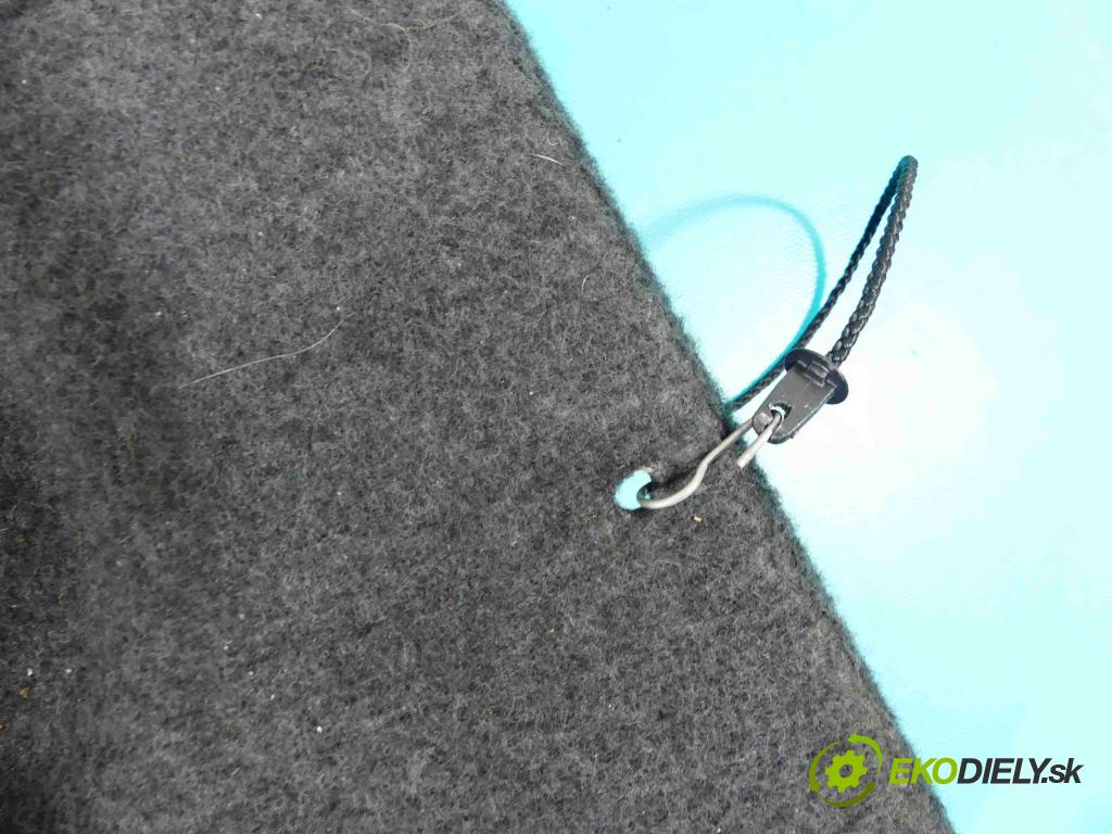 Dacia Sandero I 2008-2012 1.5 dci 86 HP manual 63 kW 1461 cm3 5- zadná 8200732368 (Pláta zadné)