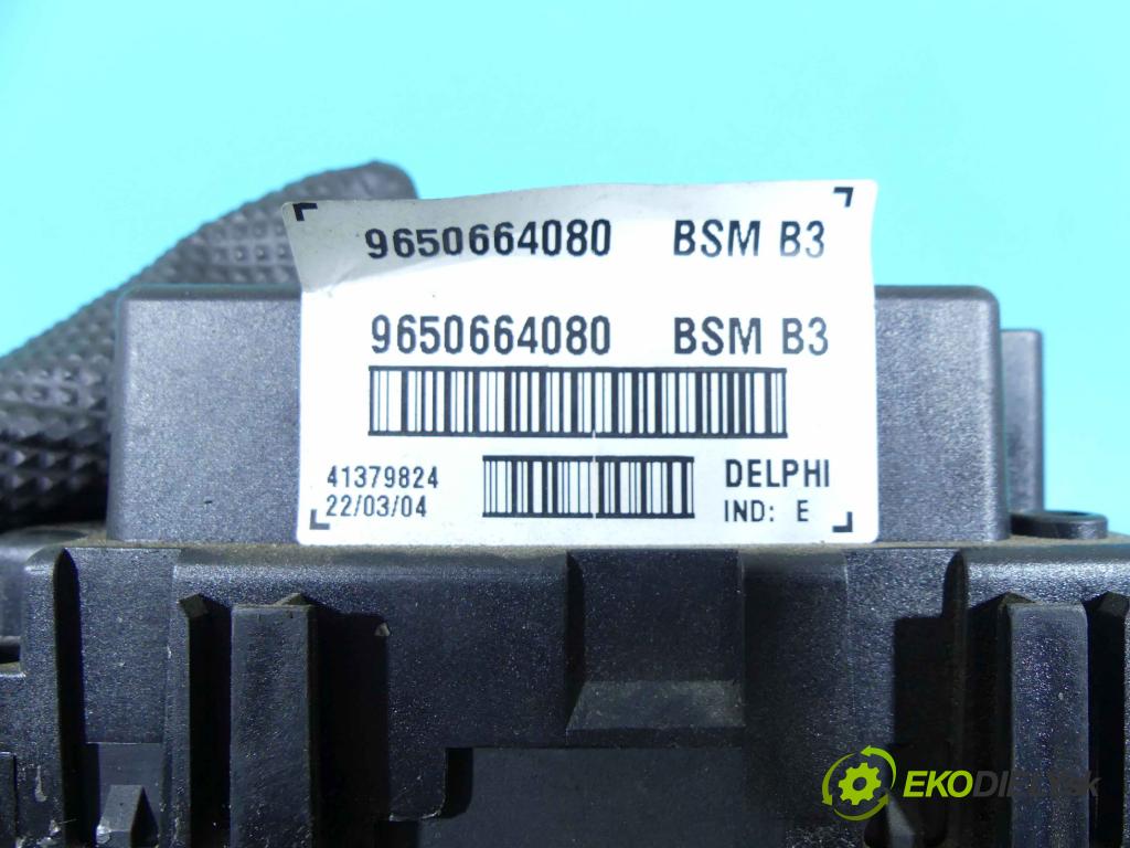 Peugeot 307 1.4 16v 88 HP manual 65 kW 1360 cm3 5- modul riadiaca jednotka 9650664080 (Ostatné)