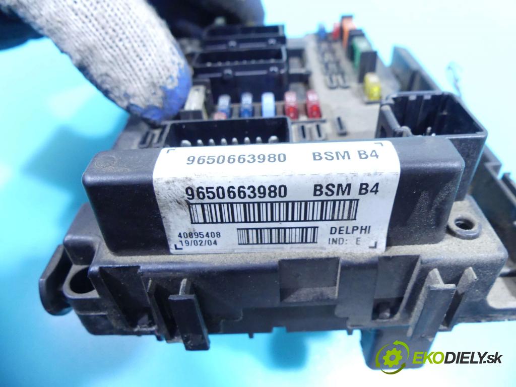 Peugeot 206 1.4 hdi 68 HP manual 50 kW 1398 cm3 5- modul riadiaca jednotka 9650663980 (Ostatné)