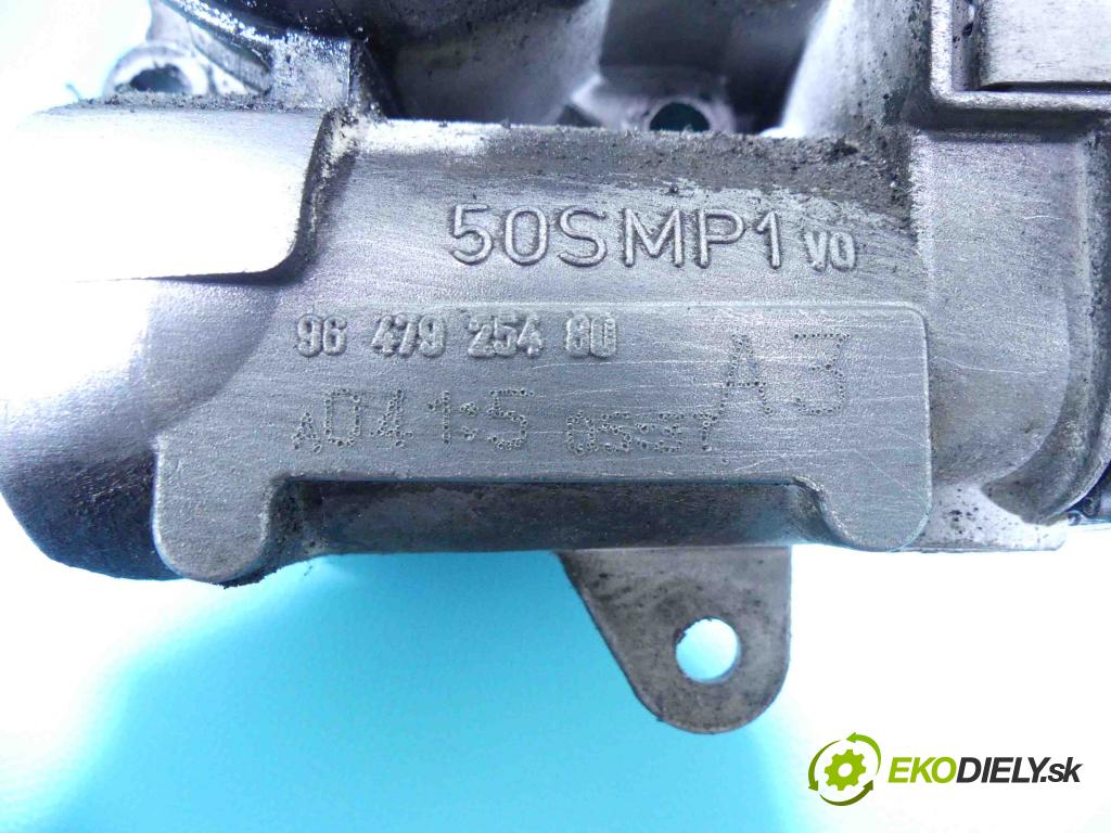 Citroen C4 I 2004-2011 1.4 16v 88 HP manual 65 kW 1360 cm3 5- klapka 9647925480 (Škrtiace klapky)