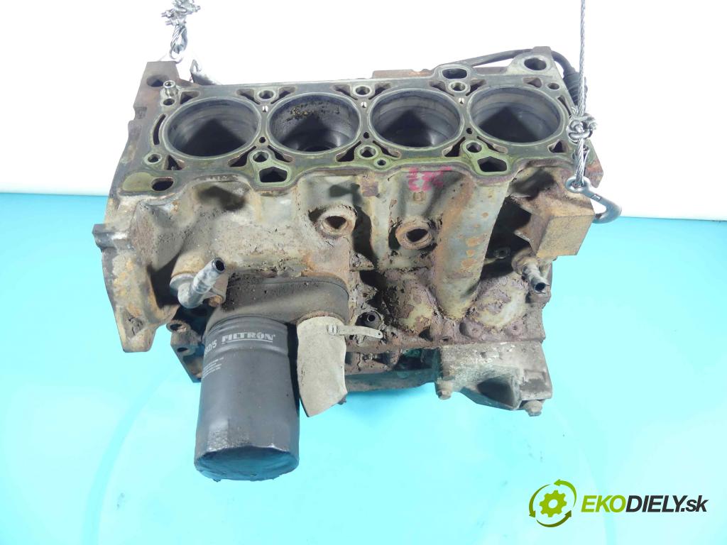 Fiat Ducato II 1994-2006 2.3 jtd 110 HP manual 81 kW 2286 cm3 5- Blok motora F1AE0481C (Blok motora)