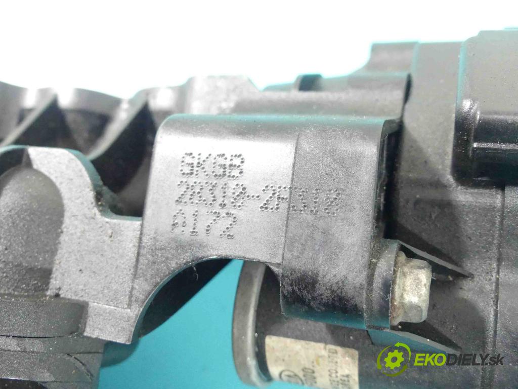 Kia Sportage III 2010-2015 2.0 crdi 136 HP automatic 100 kW 1995 cm3 5- zvod nasávací 28381-2F000 (Sacie potrubia)