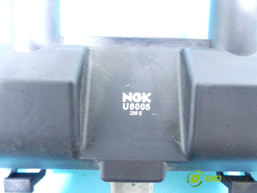 Peugeot 307 1.4 8V 75 HP manual 55 kW 1360 cm3 5- cievka zapaľovacia  (Zapaľovacie cievky, moduly)