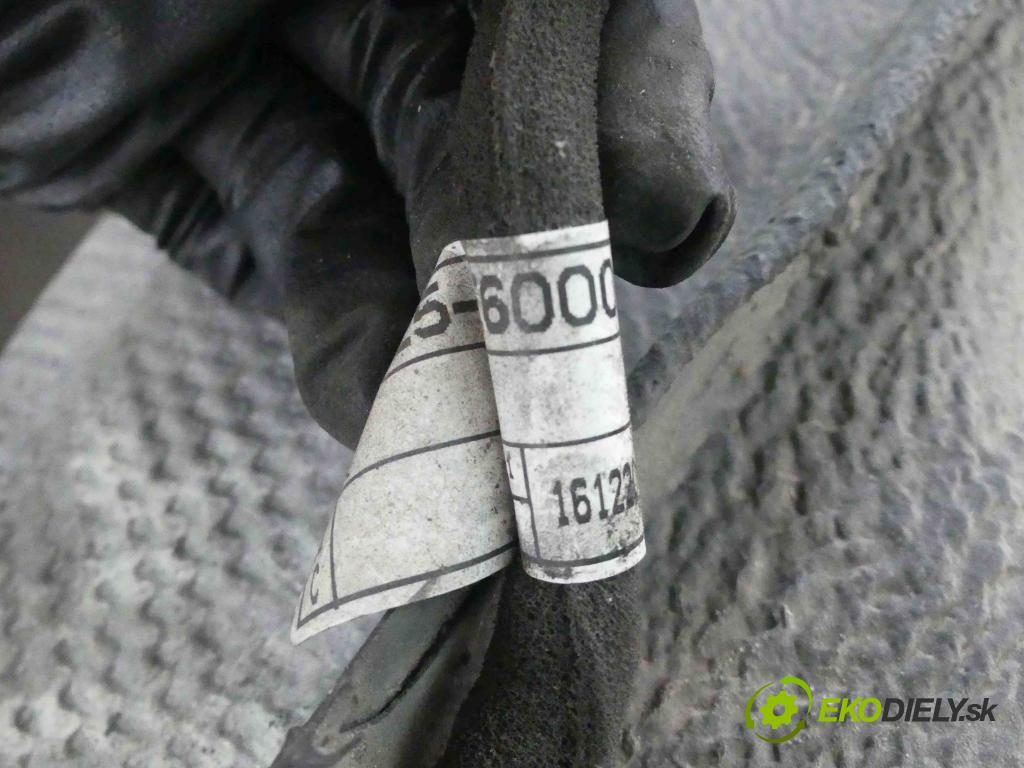 Kia Optima IV 2015-2020 2.0 16V 156 hp automatic 115 kW 1999 cm3 4- Nádrž: paliva 31125-E6000 (Nádrže)