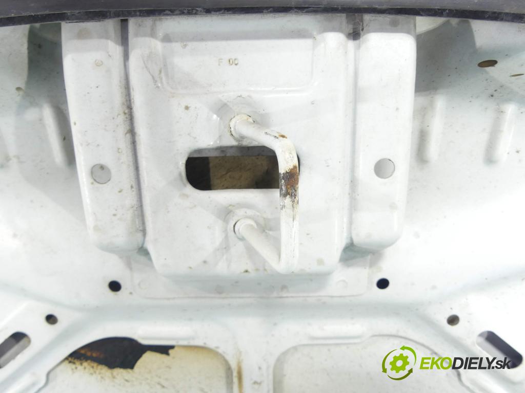 Hyundai I10 I 2008-2013 1.1 66KM manual 48,5 kW 1086 cm3 5- kapota predná