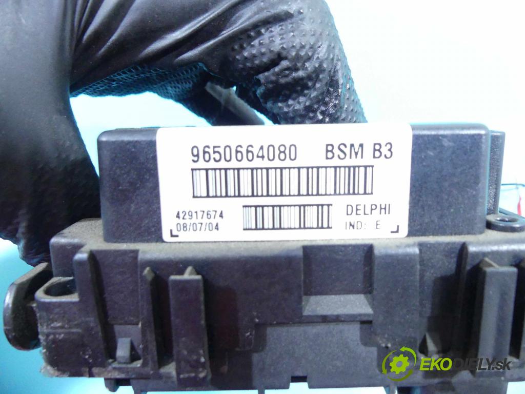 Peugeot 307 2.0 hdi 136 HP manual 100 kW 1997 cm3 5- modul riadiaca jednotka 9650664080 (Ostatné)