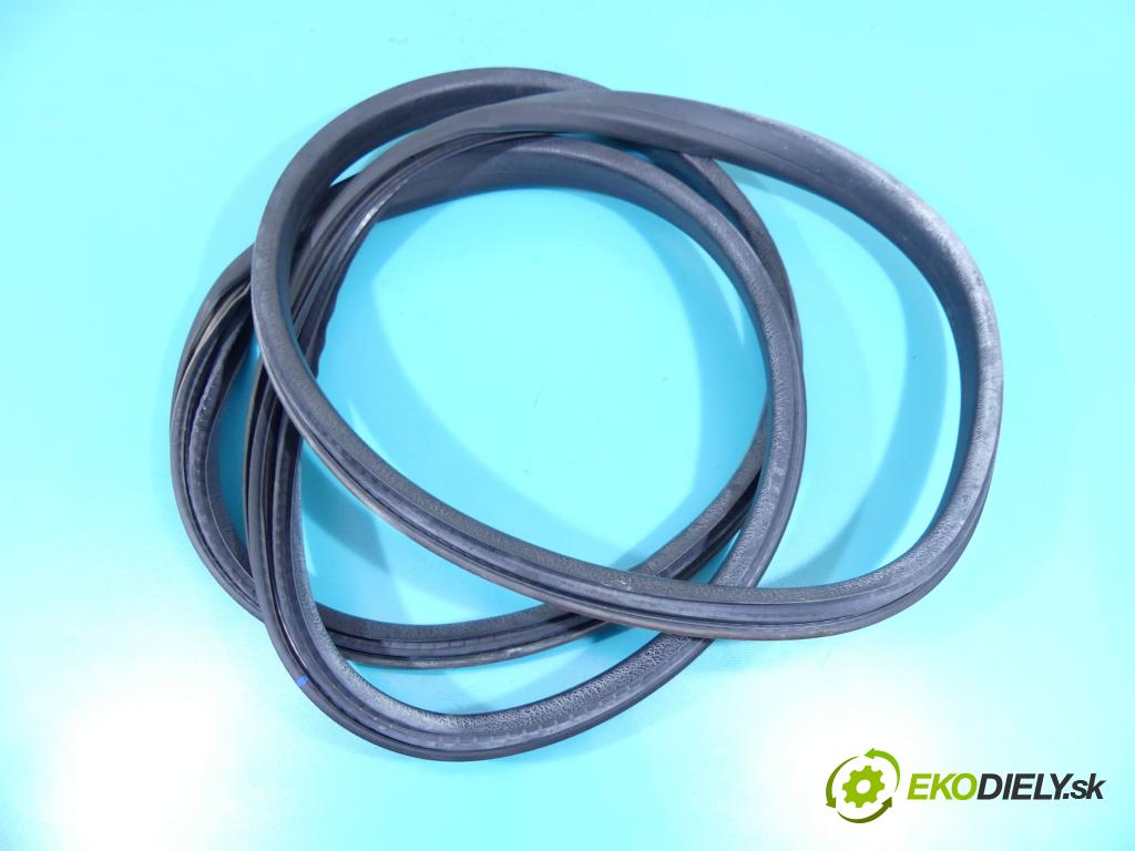 Renault Megane III 2008-2016 2.0 dci 160 hp manual 118 kW 1995 cm3 5- Těsnění: dveře zadní pravé  (Ostatní)