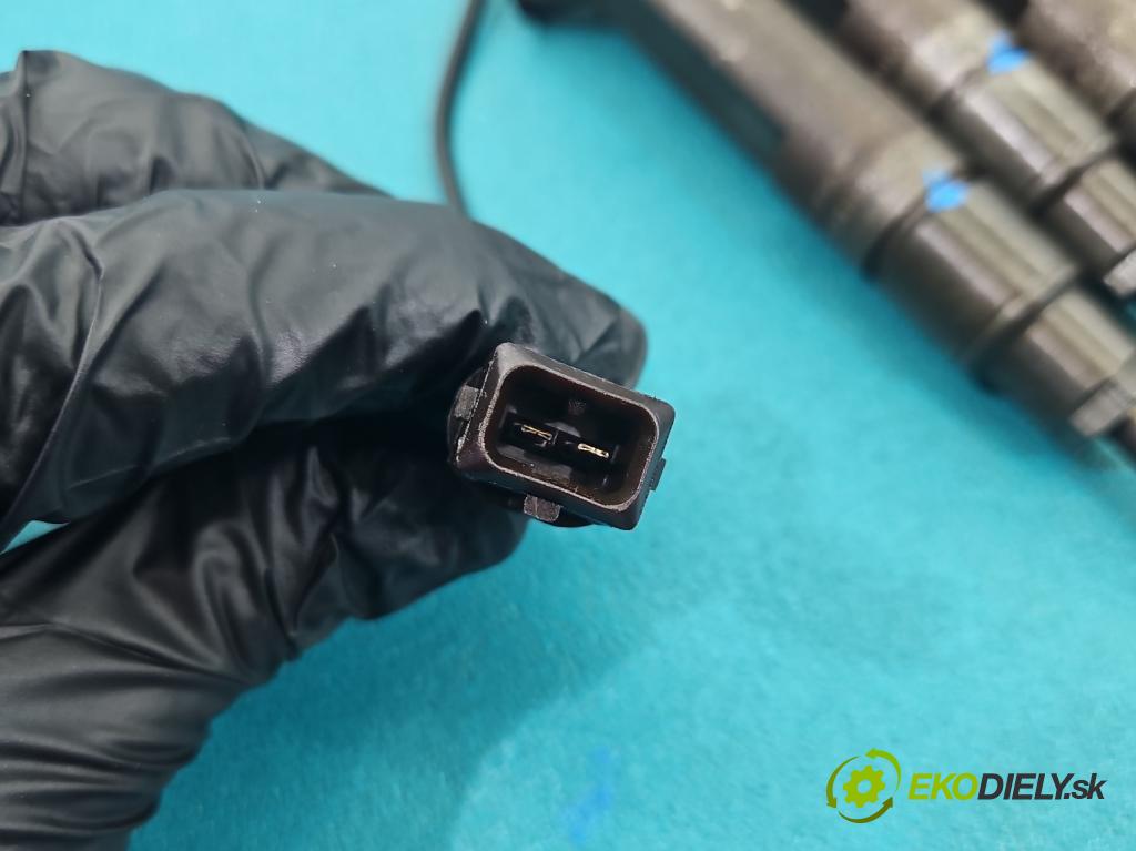 Audi A4 B5 1994-2001 1.9 tdi 90 HP manual 66 kW 1896 cm3 4- vstrek 028130201J (Vstrekovač paliva)