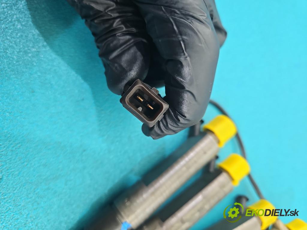 Audi A4 B5 1994-2001 1.9 tdi 110 hp manual 81 kW 1896 cm3 4- vstřikovač 028130201S (Vstřikovač paliva)