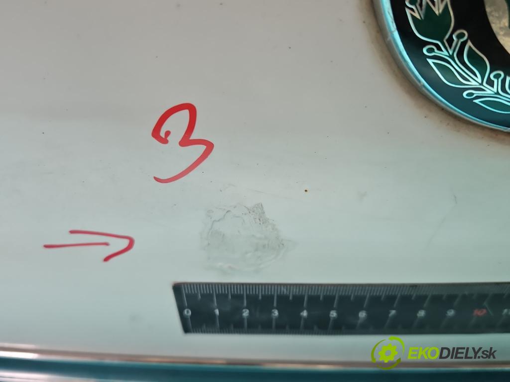 Skoda Superb II 2008-2015 2.0 TDI 140 hp manual 103 kW 1968 cm3 4- zadní kufrové dveře  (Zadní kapoty)