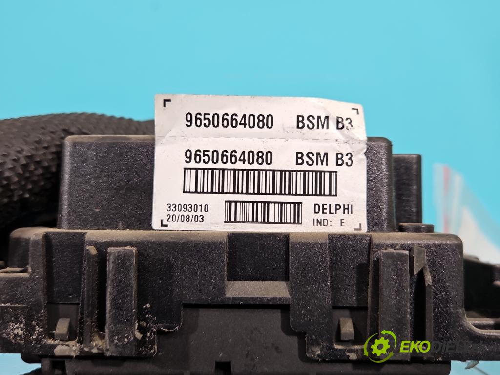 Peugeot 307 2.0 hdi 90 HP manual 66 kW 1997 cm3 5- modul riadiaca jednotka 9650664080 (Ostatné)