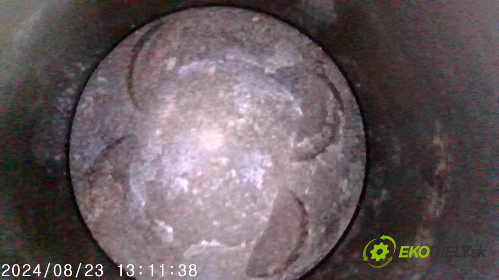 Ford Focus Mk3 2010-2018 1.6 16V 125 hp manual 92 kW 1596 cm3 5- motor benzín PNDA