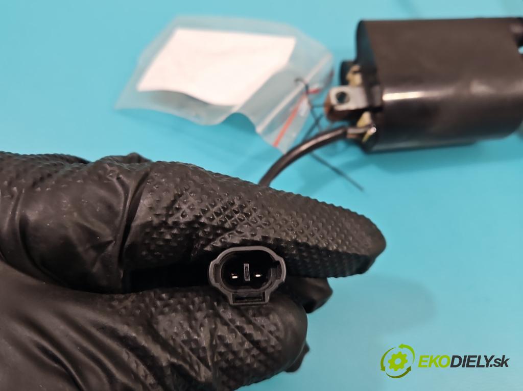 Suzuki SFV650 2009-2016 0.6 V2 72 HP manual 53 kW 645 cm3 2- cievka zapaľovacia  (Zapaľovacie cievky, moduly)