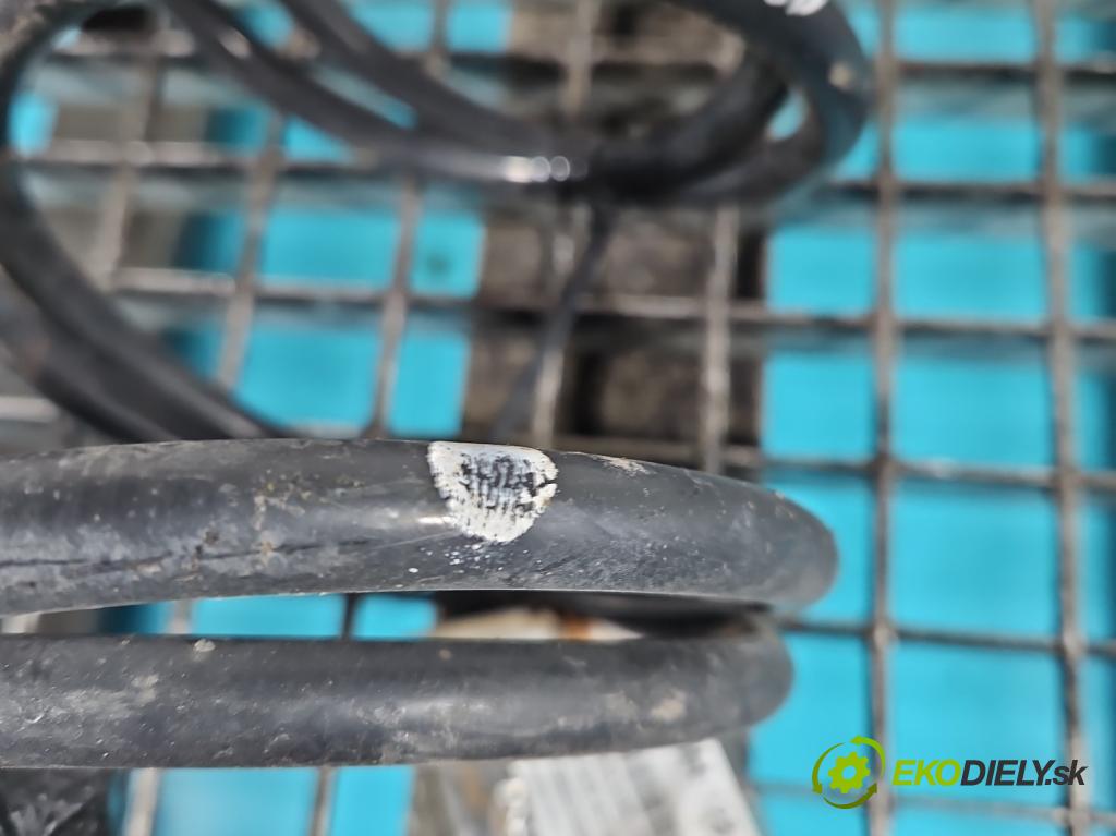 Suzuki Swift Mk7 2010-2017 1.2 16V 94 HP manual 69 kW 1242 cm3 5- Pružiny: predné komplet