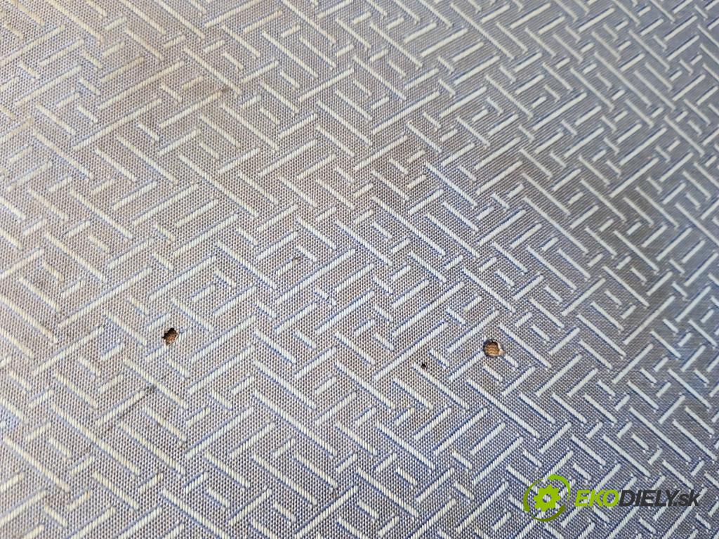 Fiat Doblo I 2001-2010 1.6 16V 103 HP manual 76 kW 1596 cm3 5- Sedačka ľavý  (Sedačky, sedadlá)