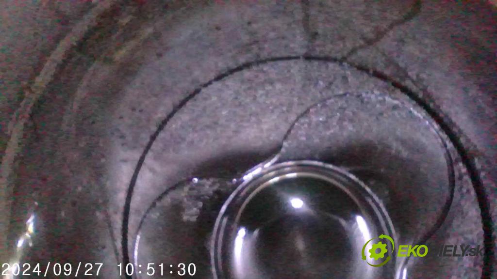 Vw Golf V 2003-2009 1.9 tdi 105 HP manual 77 kW 1896 cm3 5- motor diesla BKC