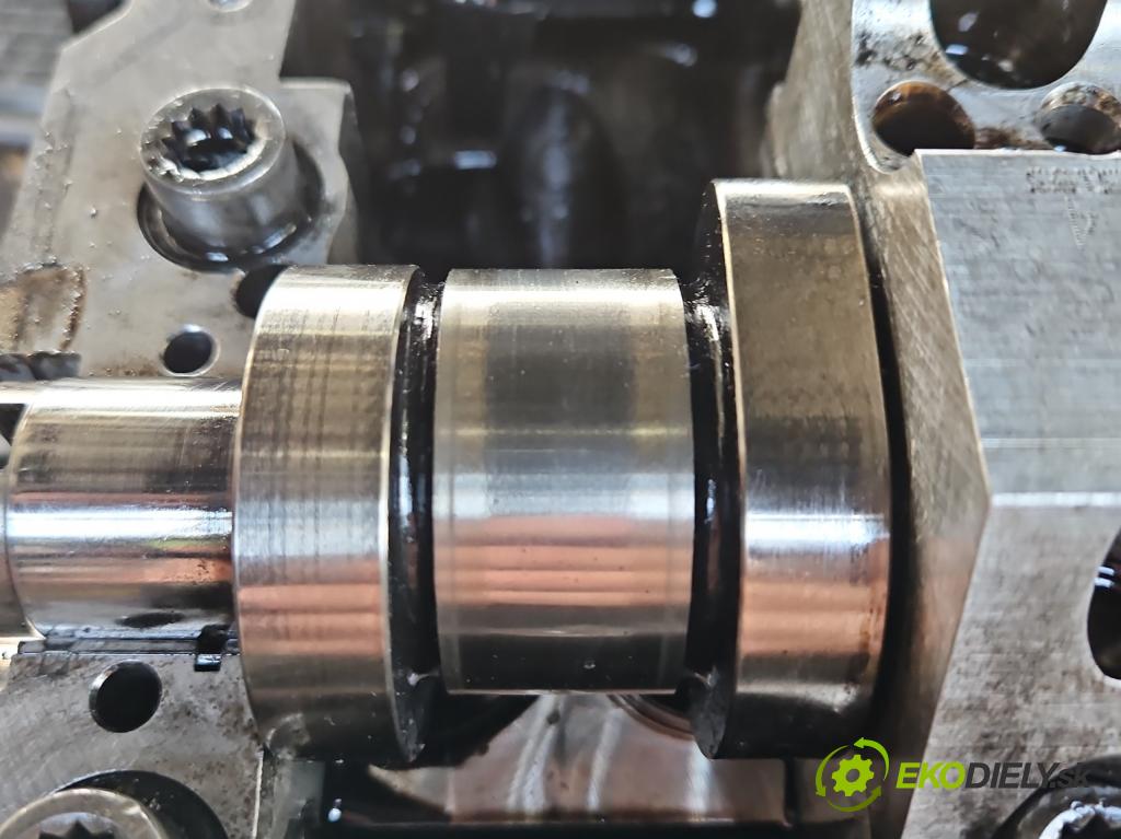 Vw Golf V 2003-2009 1.9 tdi 105 HP manual 77 kW 1896 cm3 5- motor diesla BKC