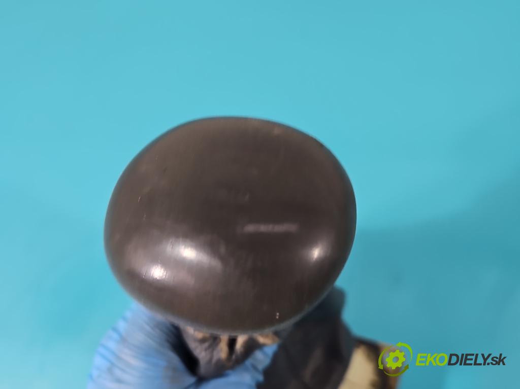 Renault Scenic I 1996-2003 1.6 16V 107 HP manual 79 kW 1598 cm3 5- Páka: Změny: stupeň,rýchlosť  (Rýchlostné páky / kulisy)