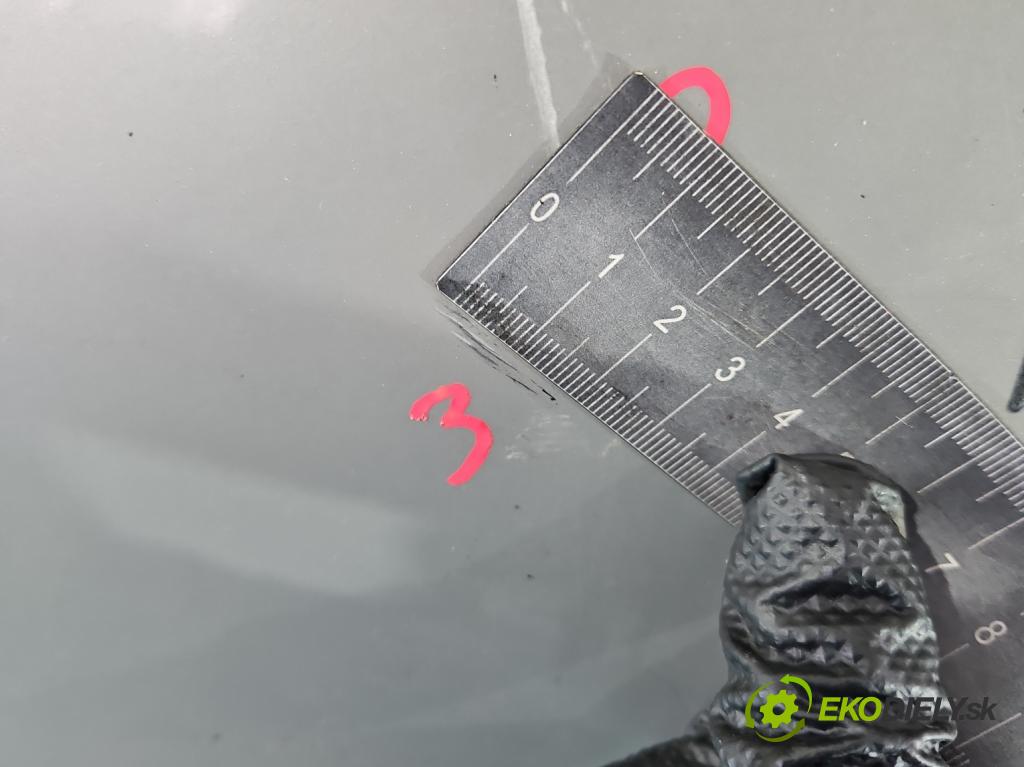 Citroen Xsara Picasso 2.0 hdi 90 hp manual 66 kW 1997 cm3 5- blatnik přední levý (Predné ľavé)