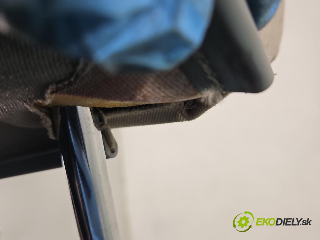 Skoda Roomster 1.9 TDI (BSW) 105 HP manual 77 kW 1896 cm3 5- Sedačka ľavý  (Sedačky, sedadlá)