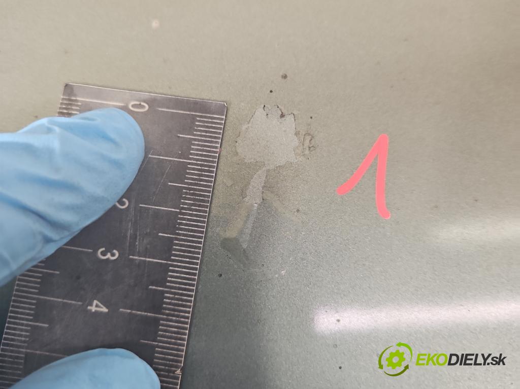 Renault Scenic II 2003-2009 1.9 dci 106 hp manual 78 kW 1870 cm3 5- zadní kufrové dveře  (Zadní kapoty)