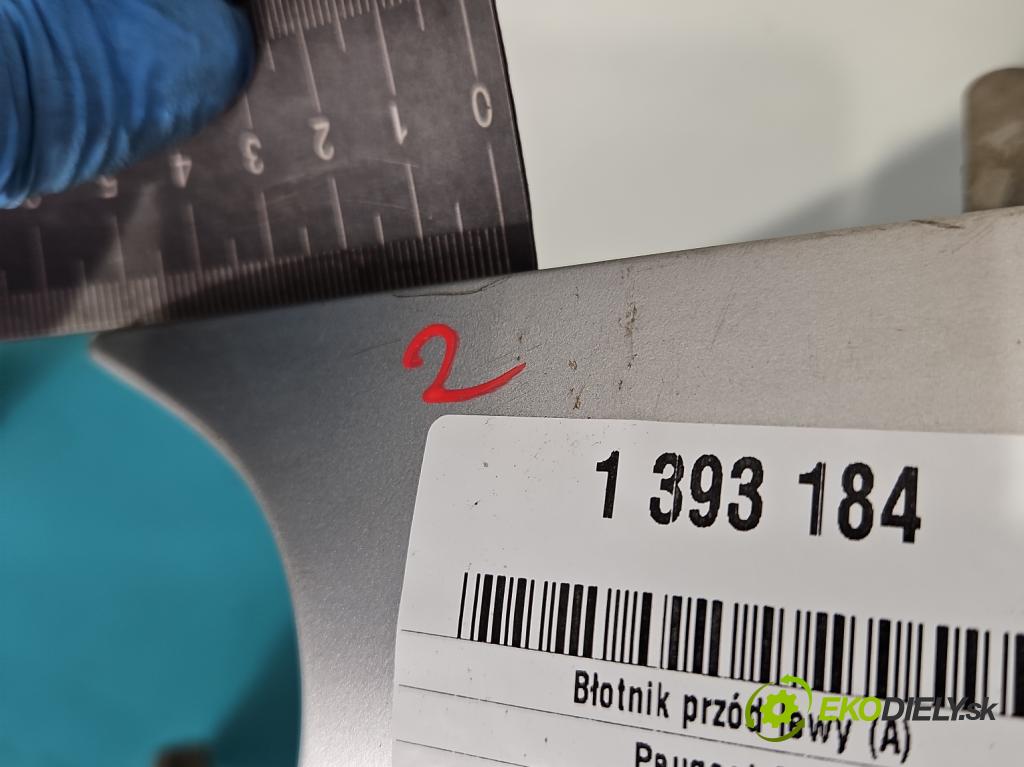 Peugeot 307 2.0 hdi 136hp manual 100 kW 1997 cm3 5- blatnik přední levý  (Predné ľavé)