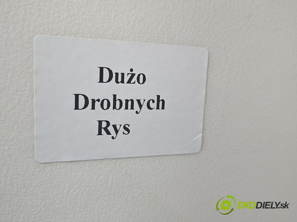 Renault Clio III 2005-2012 1.5 dci 68 hp manual 50 kW 1461 cm3 5- blatnik přední levý  (Predné ľavé)