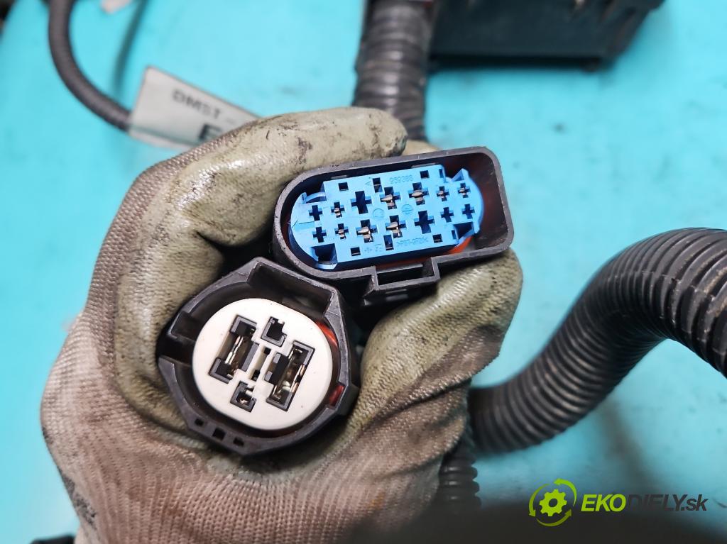 Ford C-Max II 2010-2019 1.0 125 hp manual 92 kW 998 cm3 5- skříňka pojistková DM5T-14K733 (Pojistkové skříňky)