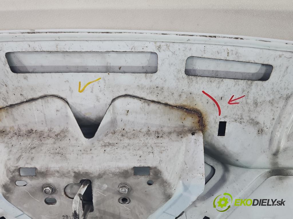 Ford C-Max II 2010-2019 1.0 125 HP manual 92 kW 998 cm3 5- kapota predná