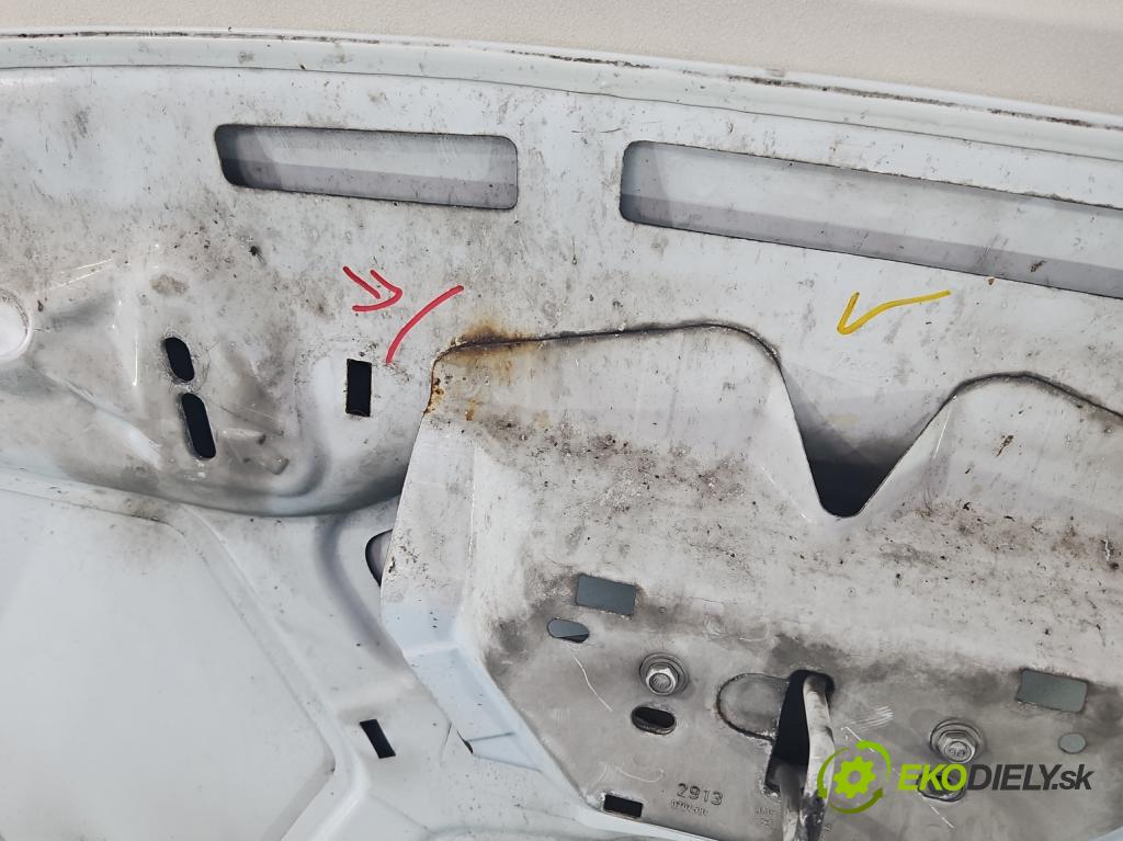 Ford C-Max II 2010-2019 1.0 125 HP manual 92 kW 998 cm3 5- kapota predná