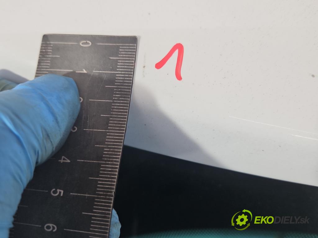 Ford C-Max II 2010-2019 1.0 125 hp manual 92 kW 998 cm3 5- zadní kufrové dveře  (Zadní kapoty)