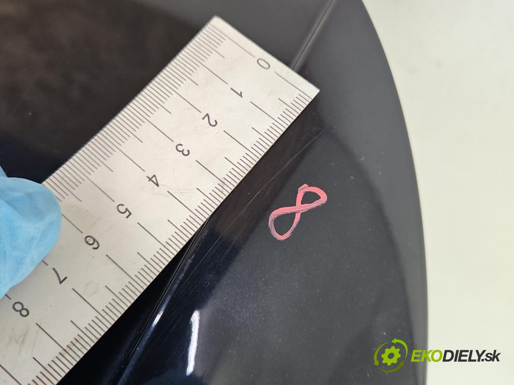 Bmw X3 E83 2003-2010 2.0d 177 hp automatic 130 kW 1995 cm3 5- zadní kufrové dveře  (Zadní kapoty)