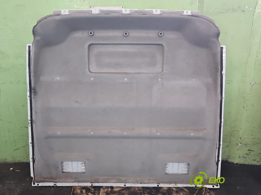 Renault Master III 2010-2019 2.3 dci 101 HP manual 74 kW 2299 cm3 5- Stena: Přepážka:  (Ostatné)