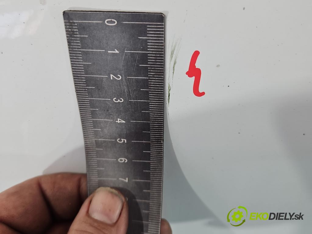 Renault Master III 2010-2019 2.3 dci 101 hp manual 74 kW 2299 cm3 5- blatnik přední levý  (Predné ľavé)