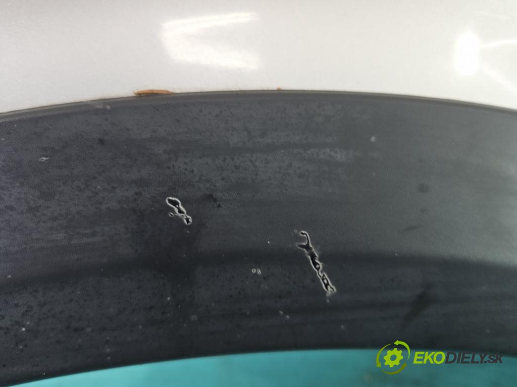 Renault Scenic II 2003-2009 1.9 dci 131 HP manual 96 kW 1870 cm3 5- blatník predné pravý  (Ostatné)