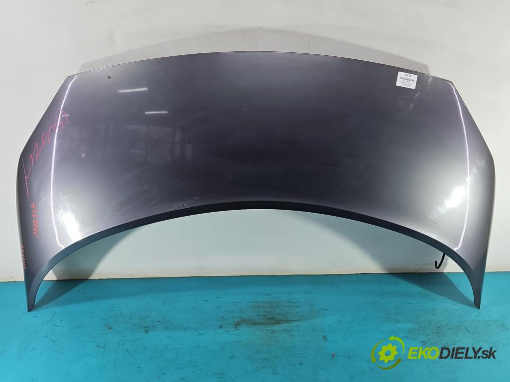 Renault Scenic II 2003-2009 1.5 dci 101 HP manual 74 kW 1461 cm3 5- kapota predná 