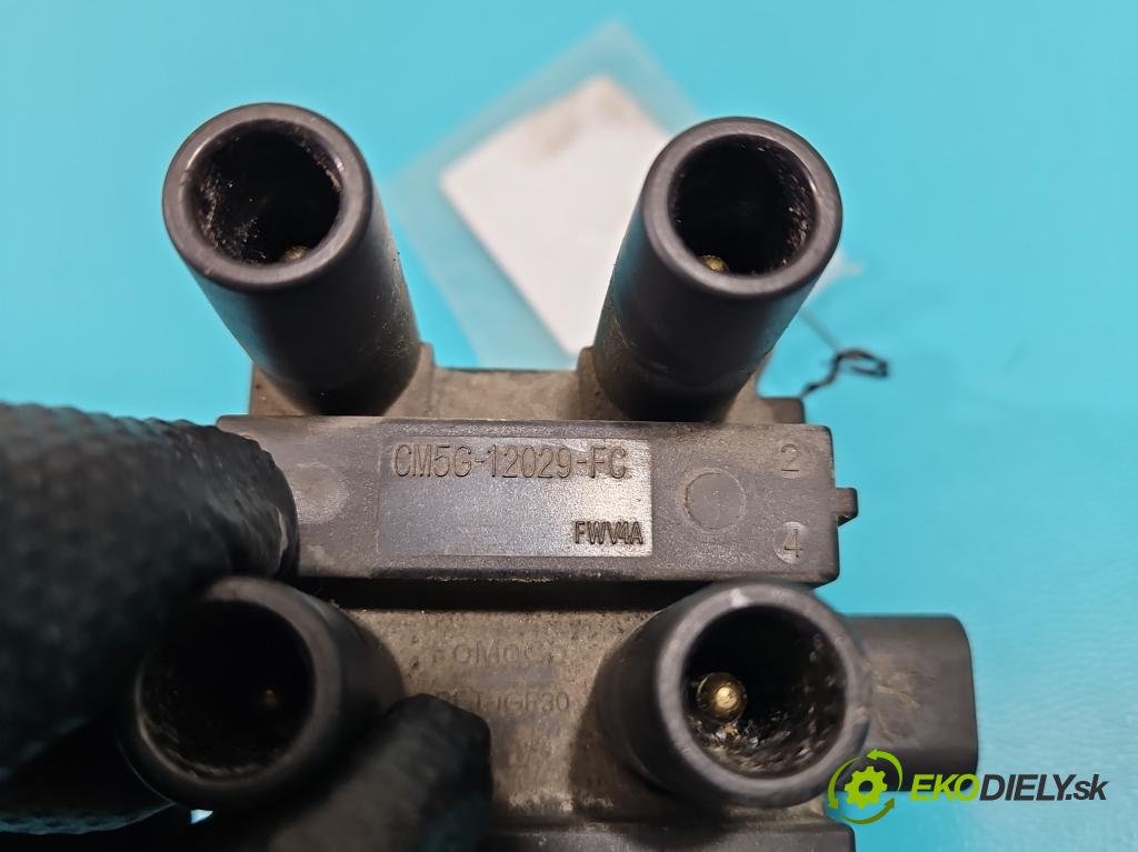 Ford Focus Mk2 2004-2011 1.6 16V 101 HP manual 74 kW 1596 cm3 5- cievka zapaľovacia CM5G-12029-FC (Zapaľovacie cievky, moduly)