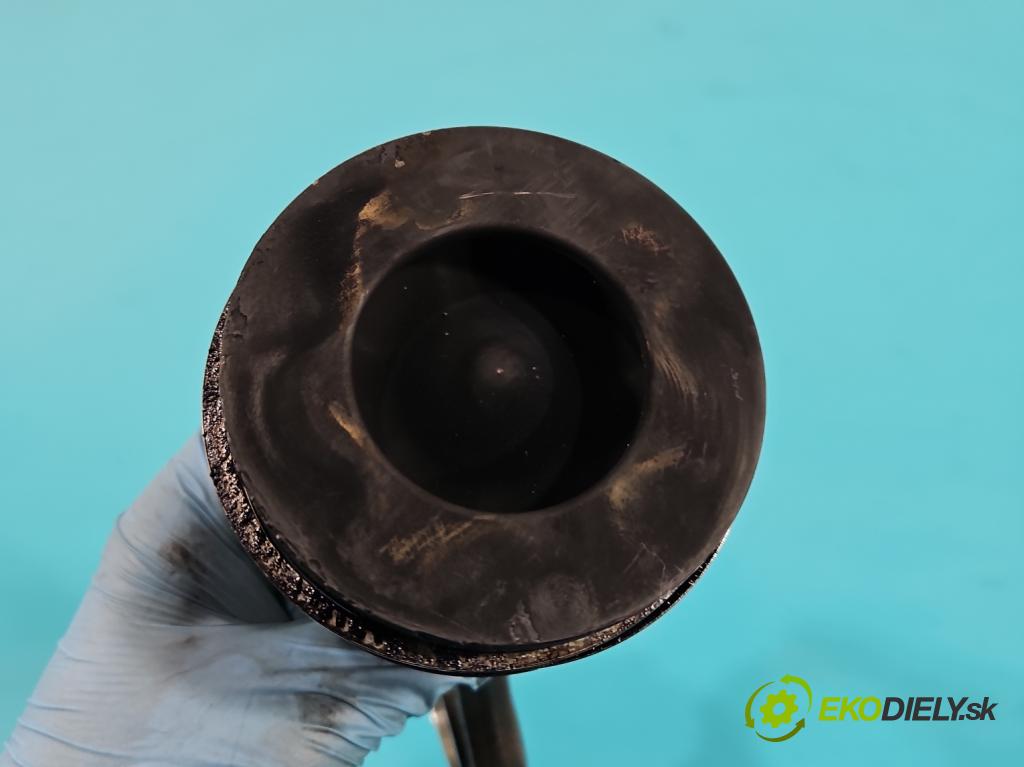 Audi A6 C6 2004-2011 3.0 tdi 224hp automatic 165 kW 2967 cm3 4- piest  (Piest)