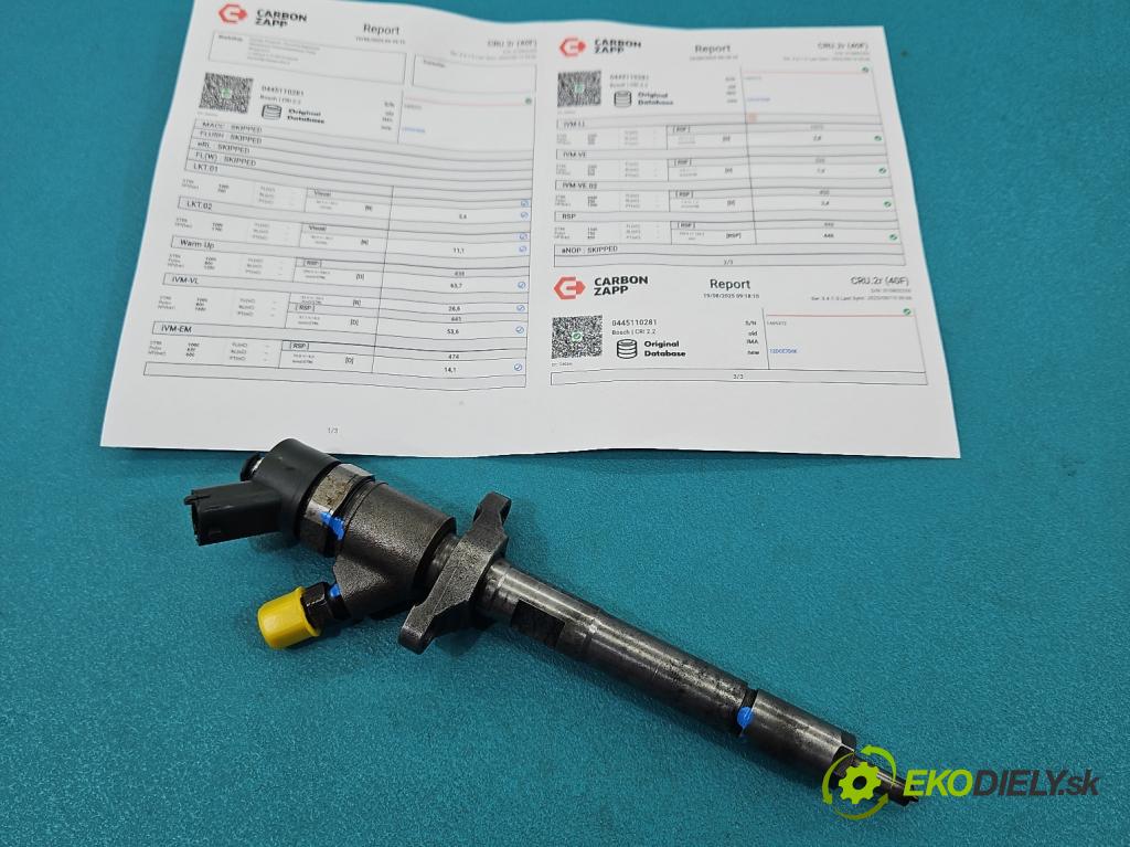 Citroen C4 I 2004-2011 1.6 hdi 109 HP manual 80 kW 1560 cm3 5- vstrek 0445110281 (Vstrekovač paliva)