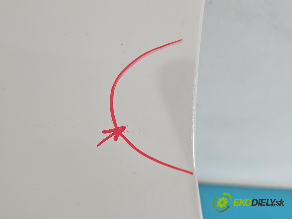 Peugeot 207 1.6 hdi 109 hp manual 80 kW 1560 cm3 2- blatnik přední levý  (Predné ľavé)