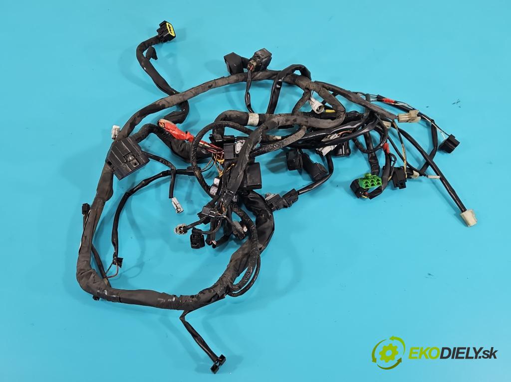 Suzuki Burgman 400 2007-2009  automatic 25 kW 400 cm3 2- Zväzok: ostatné 066500-4230