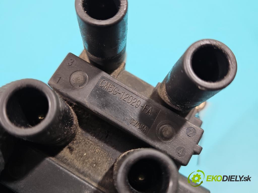 Ford Fiesta Mk7 2008-2017 1.2 16V 82 HP manual 60 kW 1242 cm3 5- cievka zapaľovacia CM5G-12029-FA (Zapaľovacie cievky, moduly)